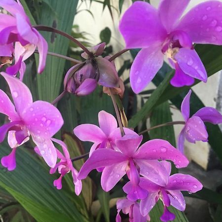 Homestay Vuon Nhan Pleiku Esterno foto
