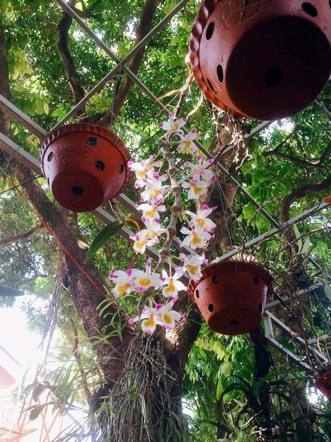 Homestay Vuon Nhan Pleiku Esterno foto
